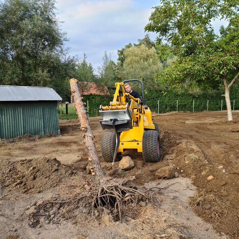 Diente de excavación para excavadora - 20099230 - Gebroders geens