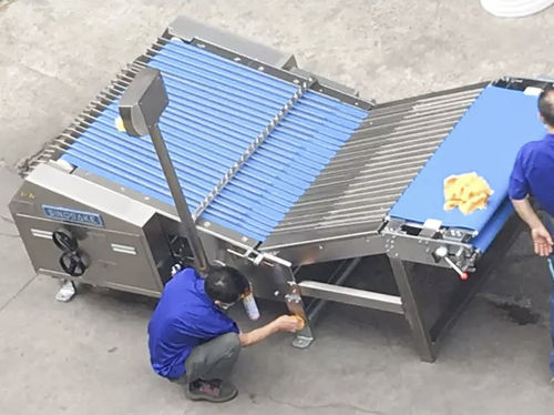 Máquina clasificadora para galletas - LB1000 - Guangdong Shunde Huaji Machinery Industrial Co., Ltd. - para la industria agroalimentaria / automática / de banda