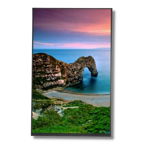 Módulo de visualización 10.1" - TTX101BVE-01 - TAILOR PIXELS TECHNOLOGY CO., LTD. - TFT / IPS / de alta resolución