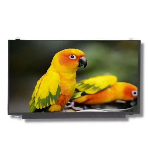 Módulo de visualización 15,6" - TTX156XHT-01 - TAILOR PIXELS TECHNOLOGY CO., LTD. - TFT LCD / IPS / 1920 x 1080