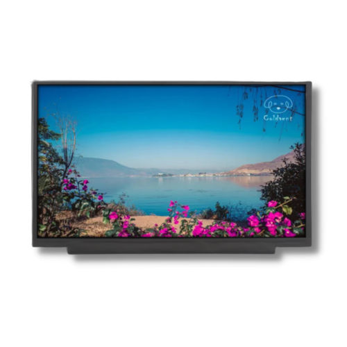 Módulo de visualización TFT LCD - TTX116BHT-01 - TAILOR PIXELS TECHNOLOGY CO., LTD. - IPS / 1920 x 1080 / 11,6"