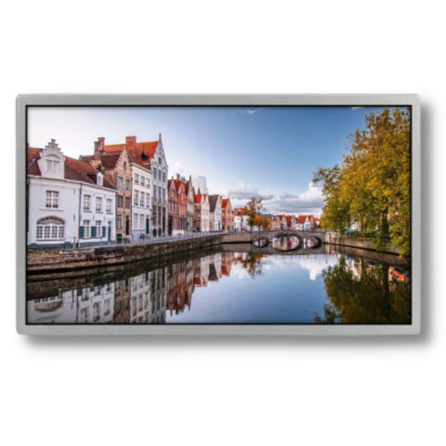 Módulo de visualización TFT LCD -  TTX185BHT-01 - TAILOR PIXELS TECHNOLOGY CO., LTD. - IPS / 1920 x 1080 / 18,5"