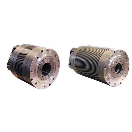 Motor par AC - BRL series - ACM engineering - trifásico / 3 fases / con eje hueco