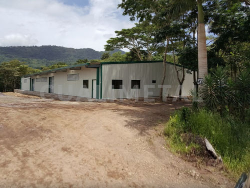 Edificio modular - CUALIMETAL - prefabricado / para la logística
