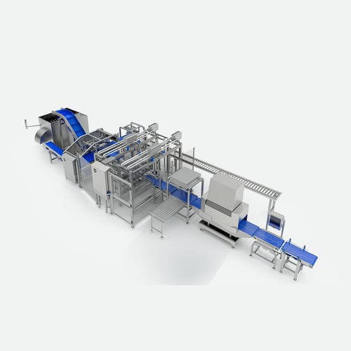 Línea de inspección para carne magra - TEMIC S.L.U.