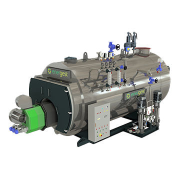 Caldera de vapor - ENERGEST Engenharia e Sistemas de Energia, S.A. - de biomasa