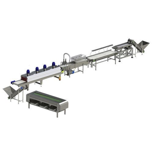 Línea de procesamiento de dátiles - Zibo Unique Machinery Co., Ltd. - de lavado / de calibrado