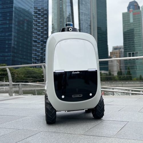Robot de entrega para paquetes - Camello - Otsaw Digital - para uso en exteriores / con ruedas / autónomo
