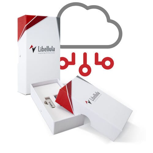 Software de gestión - Libellula.CUT - Libellula S.r.l - de programación / de automatización / CAD CAM