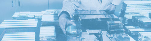 Lubricante seco - MD 2000® - SOGELUB