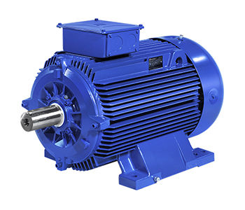 Motor asíncrono - A5M - B5M series - Marelli Motori S.p.A. - AC / 100 V / de hierro fundido