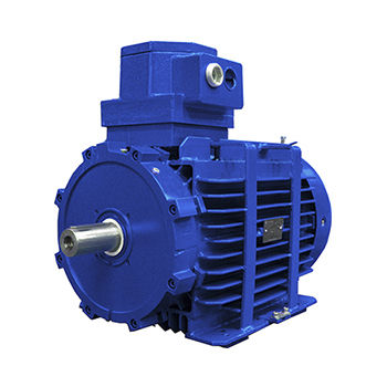 Motor asíncrono - D5K - D6K - D5R series - Marelli Motori S.p.A. - AC / 690 V / a prueba de llamas