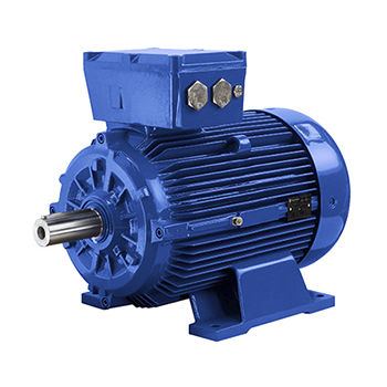 Motor asíncrono - D5T series - Marelli Motori S.p.A. - AC / 690 V / de hierro fundido