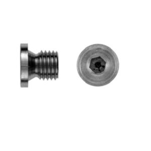 Tapón cilíndrico - DIN 908 G - Lederer - roscado / de acero inoxidable / roscado