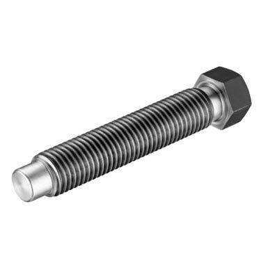 Tornillo de cabeza hexagonal - DIN 561 - Albert Pasvahl - de acero inoxidable