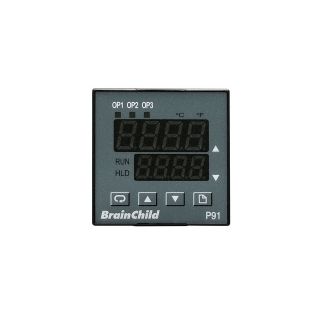 Controlador de temperatura analógico - P91 - BRAINCHILD ELECTRONIC CO., LTD - PID / ramp/soak programable / configurable