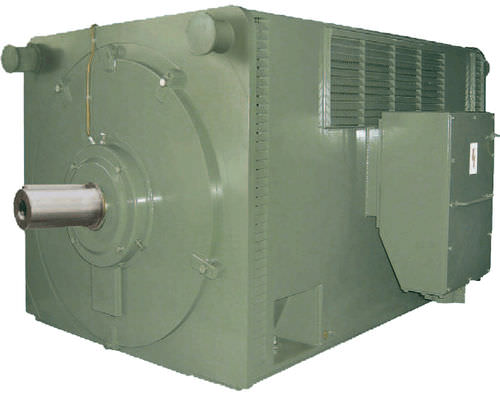 Motor asíncrono - HV series - FIMET Motori & Riduttori S.p.a. - AC / 6.000 V / aislante eléctrico