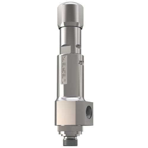 Válvula de seguridad de gas - 439 - LESER GmbH & Co. KG - NPT / DIN / de baja presión