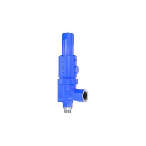 Válvula de seguridad para gas - 462 HDD - LESER GmbH & Co. KG - NPT / para compresor / de acero inoxidable