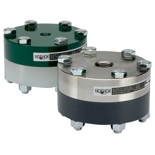 Separador de membrana con a fijación por brida - 10L  - NOSHOK - para manómetro