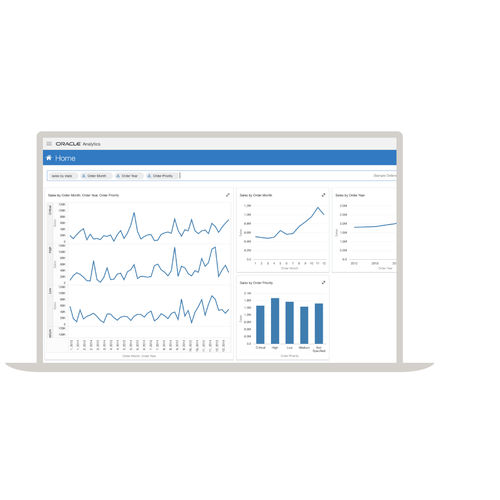 Software de análisis - Analytics - Oracle - de interfaz / de visualización / para informes