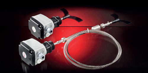 Interruptor de nivel de paleta rotativa - RL-A series - AECO - para productos a granel / ATEX / IP66