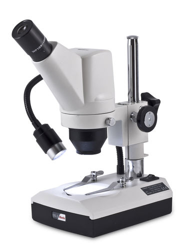 Macroscopio - DS-2 - Motic