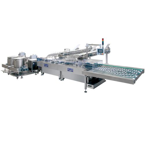 L Nea De Embalaje Completa Para Galletas Pfm Packaging Machinery