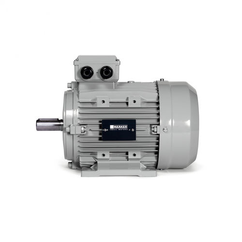Motor síncrono - MPM 16 - Merkes GmbH - Small Motors - trifásico / con imán permanente / IP55