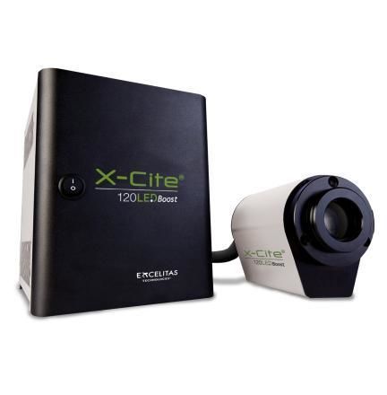 Fuente luminosa LED - Excelitas Technologies - PCO - visible / de alta potencia / con matriz de LED