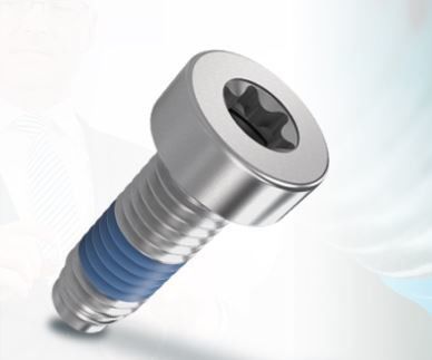 Tornillo de seguridad - ThreadLoc - Arnold Umformtechnik GmbH & Co. KG - de enganche / de cabeza cilíndrica