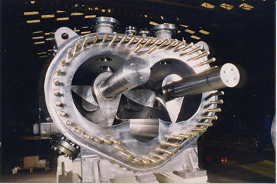 Malaxadora de tornillo cónico - MX GUITTARD® - RPA Process SAS - continua