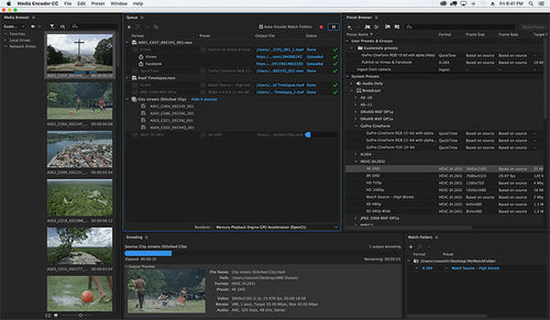 Software de creación - Media Encoder - ADOBE - de gestión / de publicación / nube