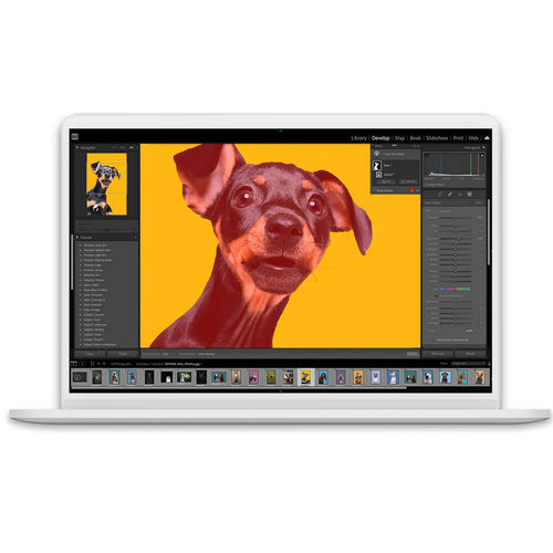 Software de mando - Lightroom Classic - ADOBE - de edición / de imagen / de colores