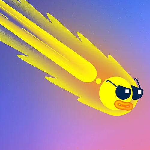 Software de creación - Animate - ADOBE - de diseño / de animación / de realidad aumentada