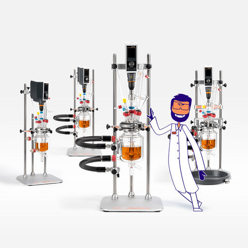 Reactor de depósito agitado - Reactor-Ready™ Flex - Radleys - de laboratorio / de proceso / modular