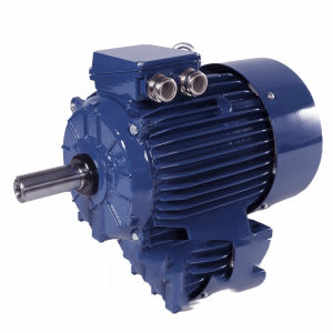 Motor con varias velocidades - Sh71-6/4A - Cantoni Motor - de inducción / trifásico / 400V