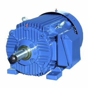 Motor NEMA - SIE284TS2 - Cantoni Motor - de inducción / trifásico / 460 V