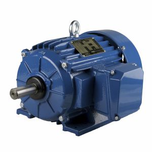 Motor NEMA - ESg145T-4A - Cantoni Motor - de inducción / trifásico / 460 V