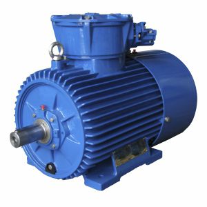Motor síncrono - dSg80-2A - Cantoni Motor - trifásico / 1000 V / de hierro fundido