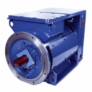 Motor síncrono - 3SGf250M6-E - Cantoni Motor - trifásico / 500 V / con rotor jaula