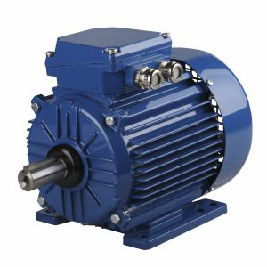 Motor síncrono - ExSh71-6B T4 - Cantoni Motor - trifásico / 400V / de aluminio