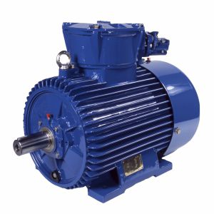 Motor síncrono - (E)CSg132M6B - Cantoni Motor - trifásico / 400V / de jaula de ardilla