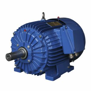 Motor síncrono - ExSg112M-6-2G T4/2D - Cantoni Motor - trifásico / 400V / de aluminio