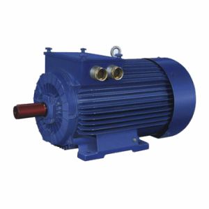 Motor de anillo - 2SUg200L4A - Cantoni Motor - síncrono / trifásico / 400V