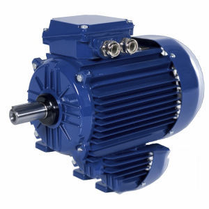 Motor IE2 - 2SIE112M6A - Cantoni Motor - de inducción / trifásico / 400V