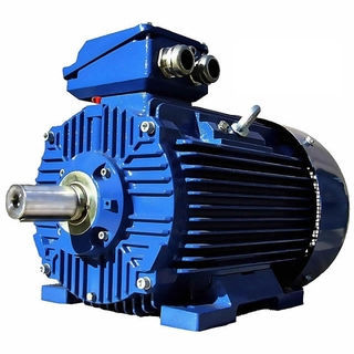 Motor síncrono - 3SIE90S2 - Cantoni Motor - AC / 400V / 380V