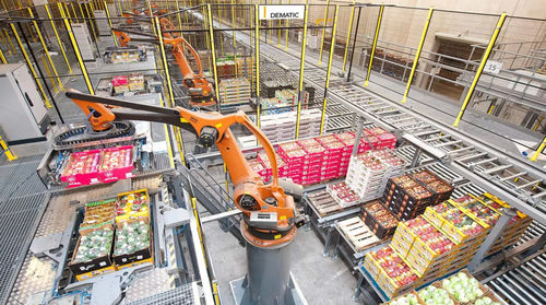 Paletizador-despaletizador robotizado - AMCAP - DEMATIC - por capas / para palés / de cajas
