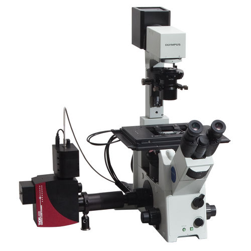 Microscopio de laboratorio - CLS Series - Thorlabs - 3D / confocal / de mesa
