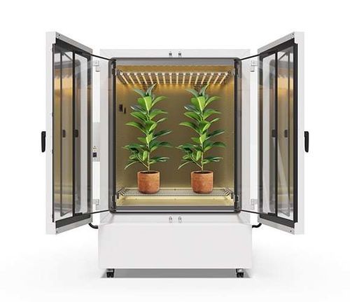 Cámara de cultivo para plantas - KBF PRO - BINDER - con ruedas